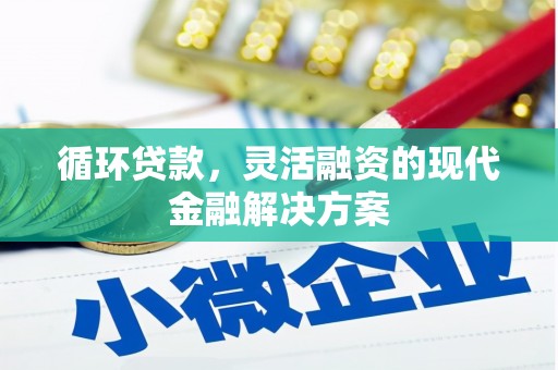 海原循环贷款，灵活融资的现代金融解决方案