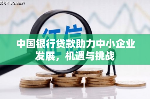 海原中国银行贷款助力中小企业发展，机遇与挑战