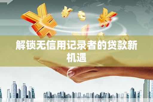 海原解锁无信用记录者的贷款新机遇