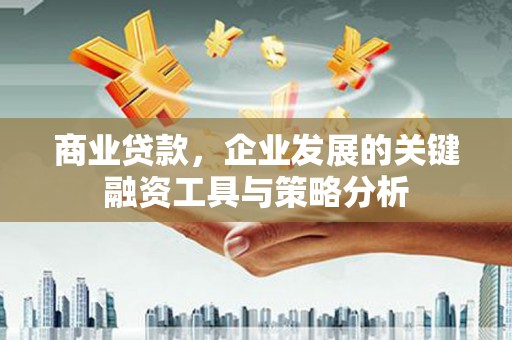 海原商业贷款，企业发展的关键融资工具与策略分析