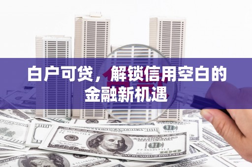 海原白户可贷，解锁信用空白的金融新机遇