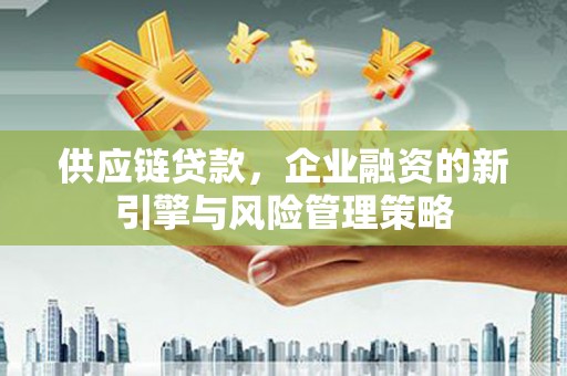 海原供应链贷款，企业融资的新引擎与风险管理策略