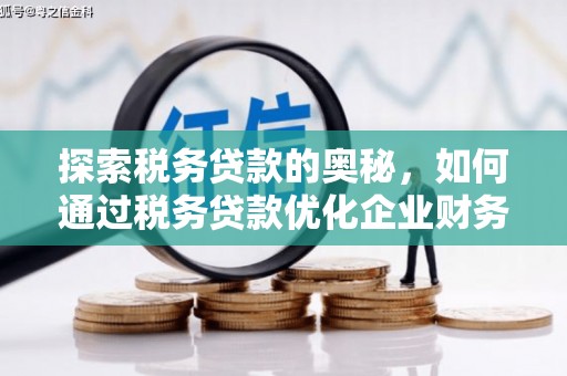 海原探索税务贷款的奥秘，如何通过税务贷款优化企业财务