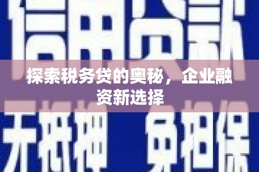 海原探索税务贷的奥秘，企业融资新选择