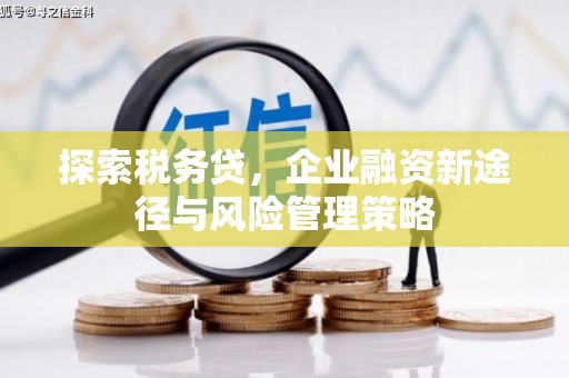 海原探索税务贷，企业融资新途径与风险管理策略