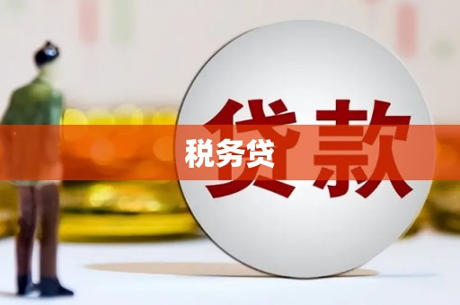海原税务贷