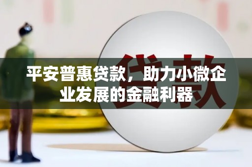 海原平安普惠贷款，助力小微企业发展的金融利器