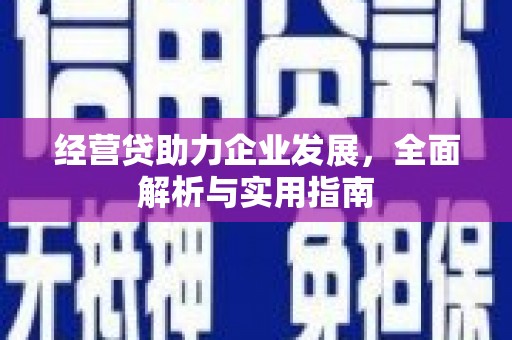 海原经营贷助力企业发展，全面解析与实用指南