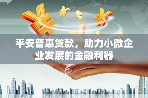 海原平安普惠贷款，助力小微企业发展的金融利器