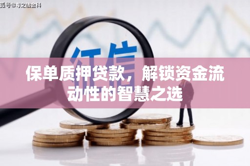 海原保单质押贷款，解锁资金流动性的智慧之选
