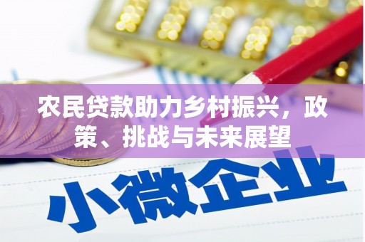 海原农民贷款助力乡村振兴，政策、挑战与未来展望