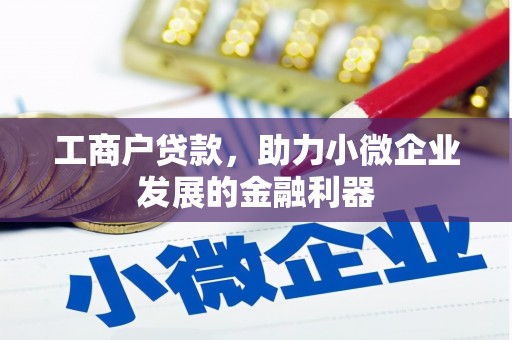 海原工商户贷款，助力小微企业发展的金融利器