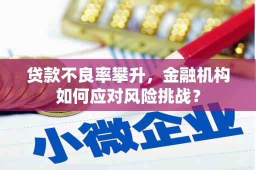 海原贷款不良率攀升，金融机构如何应对风险挑战？