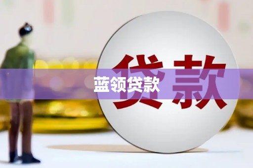 海原蓝领贷款