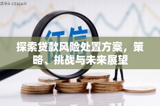 海原探索贷款风险处置方案，策略、挑战与未来展望