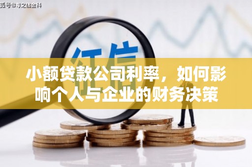 海原小额贷款公司利率，如何影响个人与企业的财务决策
