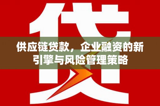 海原供应链贷款，企业融资的新引擎与风险管理策略