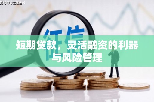 海原短期贷款，灵活融资的利器与风险管理