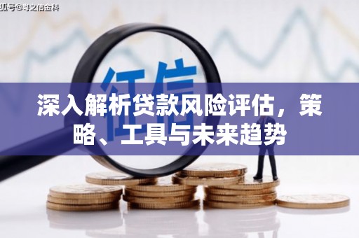海原深入解析贷款风险评估，策略、工具与未来趋势