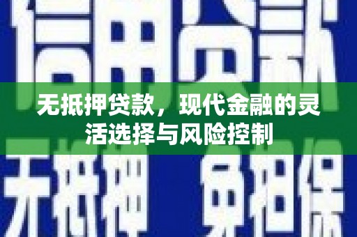 海原无抵押贷款，现代金融的灵活选择与风险控制