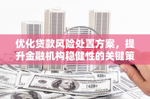 海原优化贷款风险处置方案，提升金融机构稳健性的关键策略