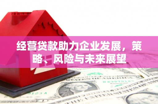 海原经营贷款助力企业发展，策略、风险与未来展望