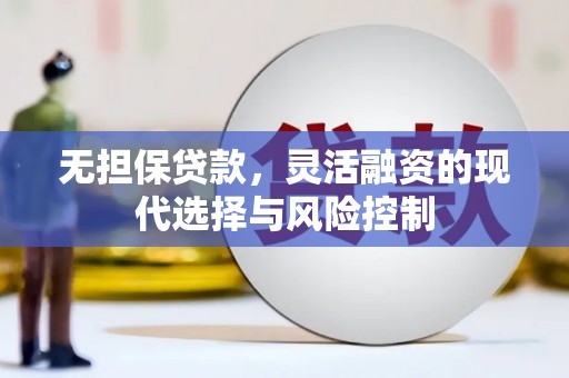 海原无担保贷款，灵活融资的现代选择与风险控制