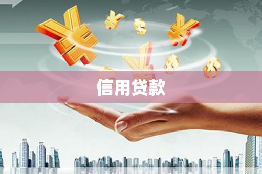 海原信用贷款