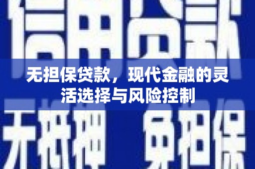海原无担保贷款，现代金融的灵活选择与风险控制