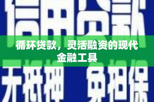 海原循环贷款，灵活融资的现代金融工具