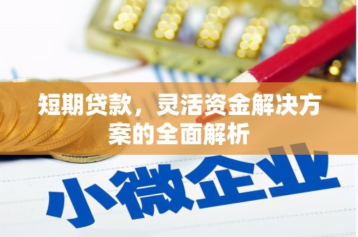 海原短期贷款，灵活资金解决方案的全面解析