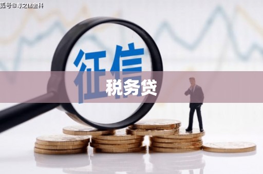 海原税务贷