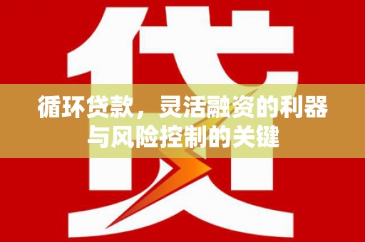海原循环贷款，灵活融资的利器与风险控制的关键