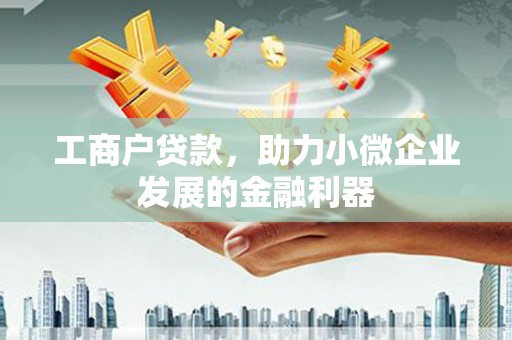 海原工商户贷款，助力小微企业发展的金融利器