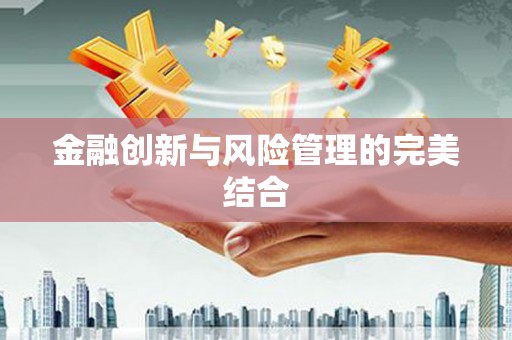 海原金融创新与风险管理的完美结合