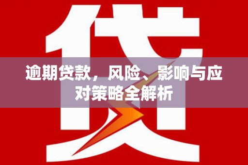 海原逾期贷款，风险、影响与应对策略全解析