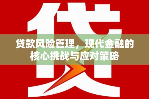 海原贷款风险管理，现代金融的核心挑战与应对策略