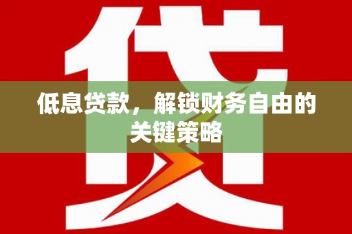海原低息贷款，解锁财务自由的关键策略
