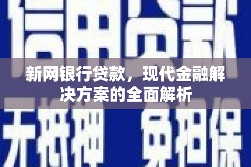海原新网银行贷款，现代金融解决方案的全面解析
