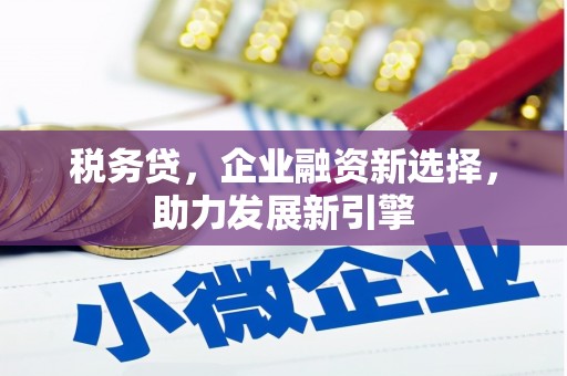 海原税务贷，企业融资新选择，助力发展新引擎