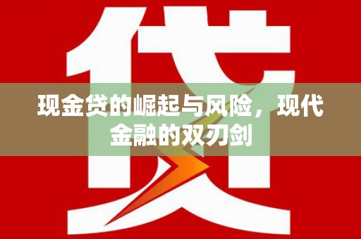 海原现金贷的崛起与风险，现代金融的双刃剑
