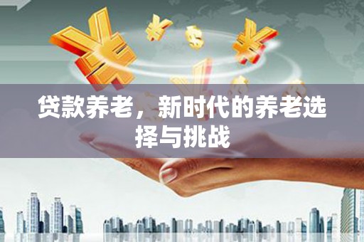 海原贷款养老，新时代的养老选择与挑战