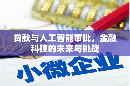 海原贷款与人工智能审批，金融科技的未来与挑战