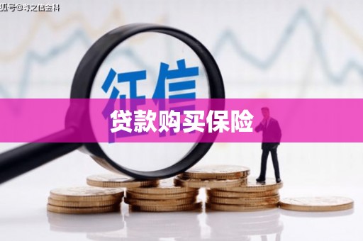 海原贷款购买保险