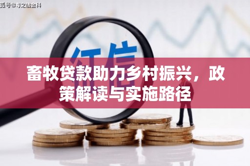 海原畜牧贷款助力乡村振兴，政策解读与实施路径
