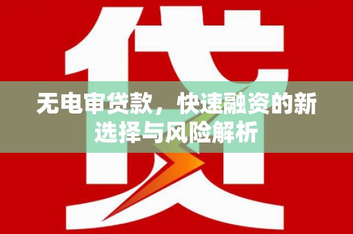 海原无电审贷款，快速融资的新选择与风险解析