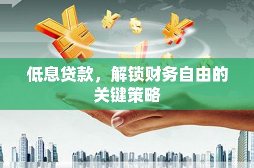 海原低息贷款，解锁财务自由的关键策略