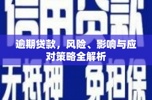 海原逾期贷款，风险、影响与应对策略全解析