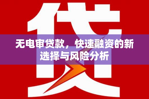 海原无电审贷款，快速融资的新选择与风险分析