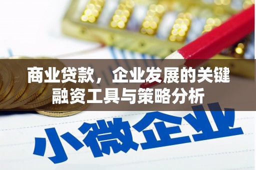 海原商业贷款，企业发展的关键融资工具与策略分析